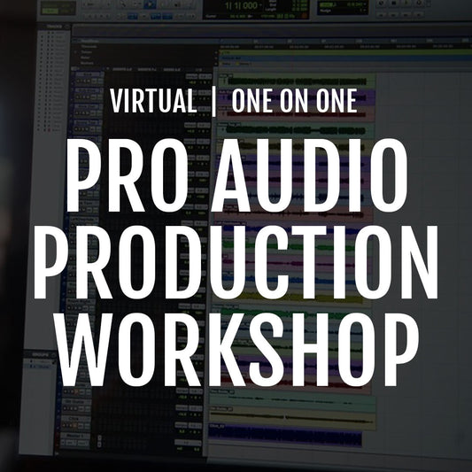 Virtual Pro Audio Production Workshop